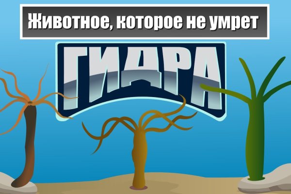 Сайт кракен через тор