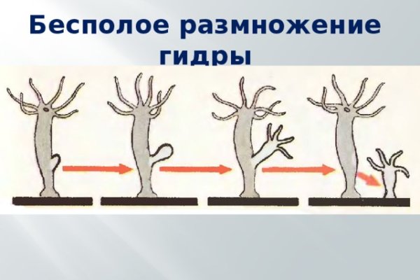 Кракен даркнет официальный сайт